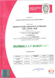 Global Gap
