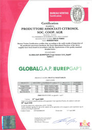 Certificazione Eurepgap