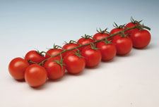 Pomodoro Ciliegino