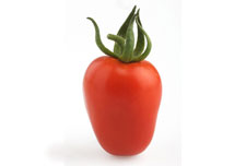 Pomodoro Oblungo Rosso
