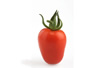 Pomodoro Piccadilly