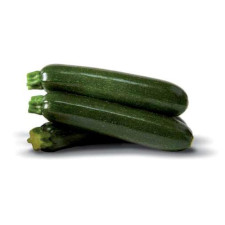Zucchina Verde Scura